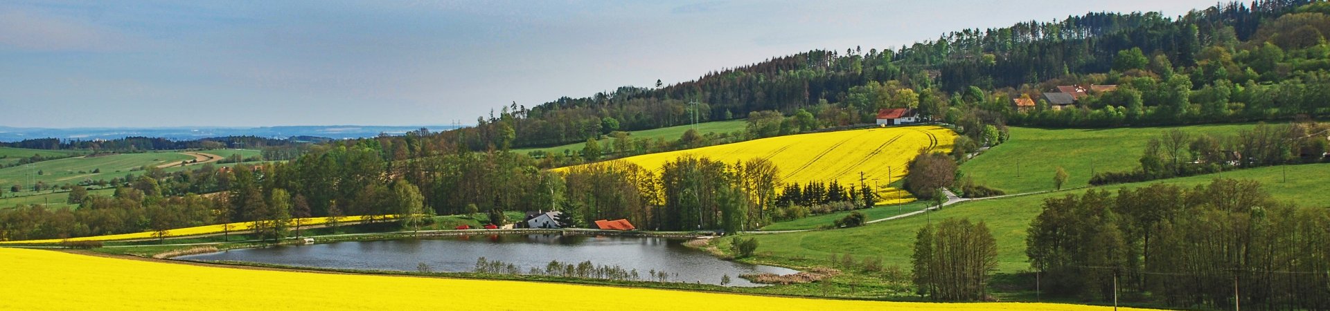 Měnič obrázků - fotografie