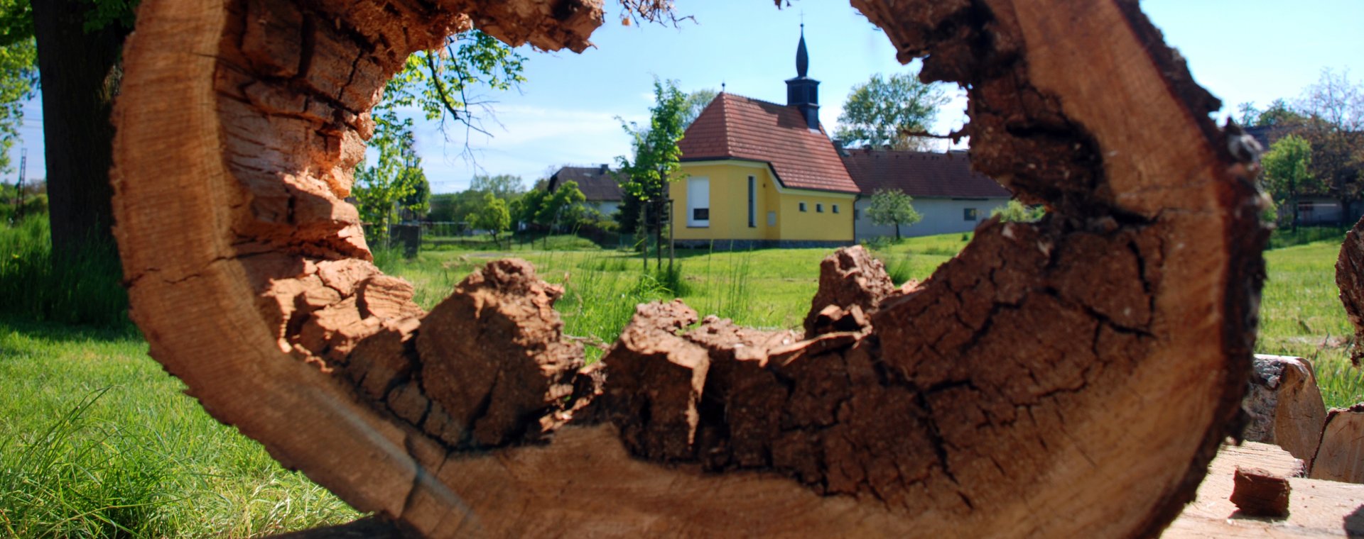 Měnič obrázků - fotografie