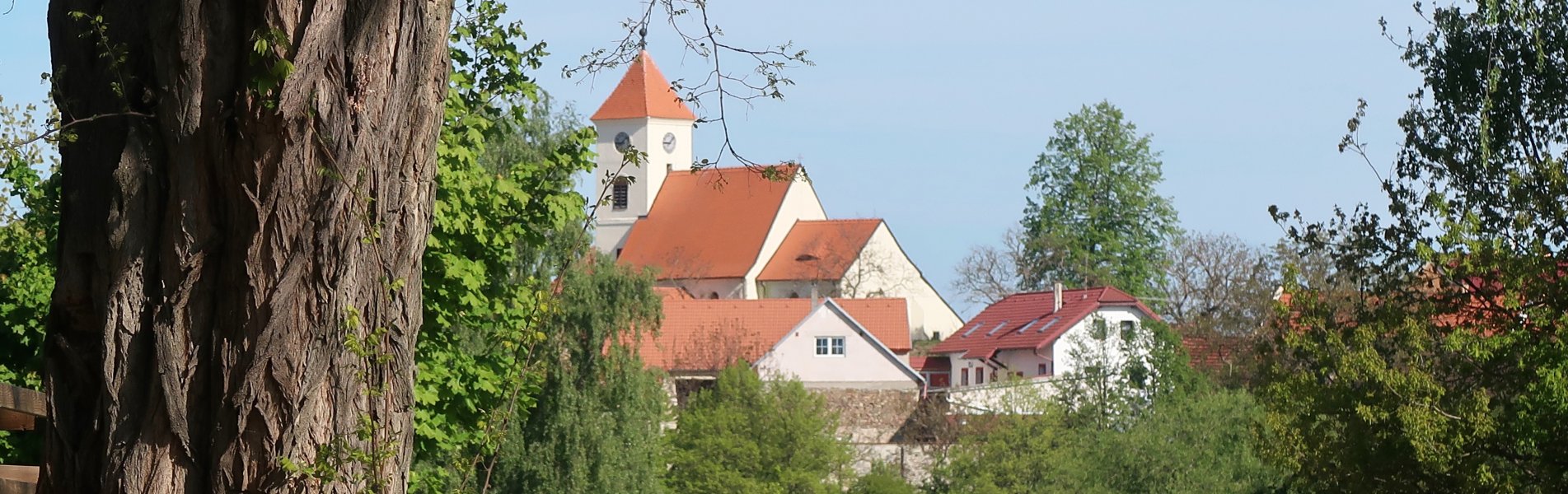 Měnič obrázků - fotografie