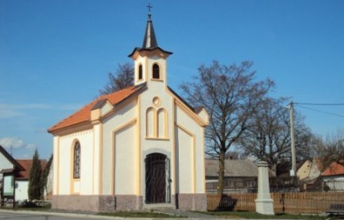 Měnič obrázků - fotografie