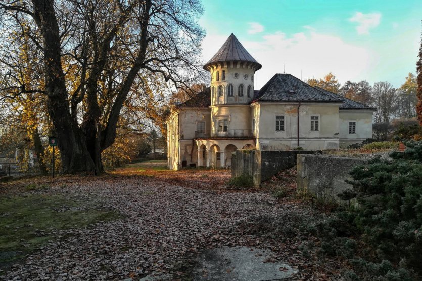 Měnič obrázků - fotografie