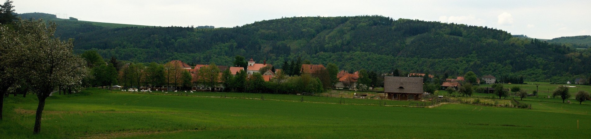 Měnič obrázků - fotografie