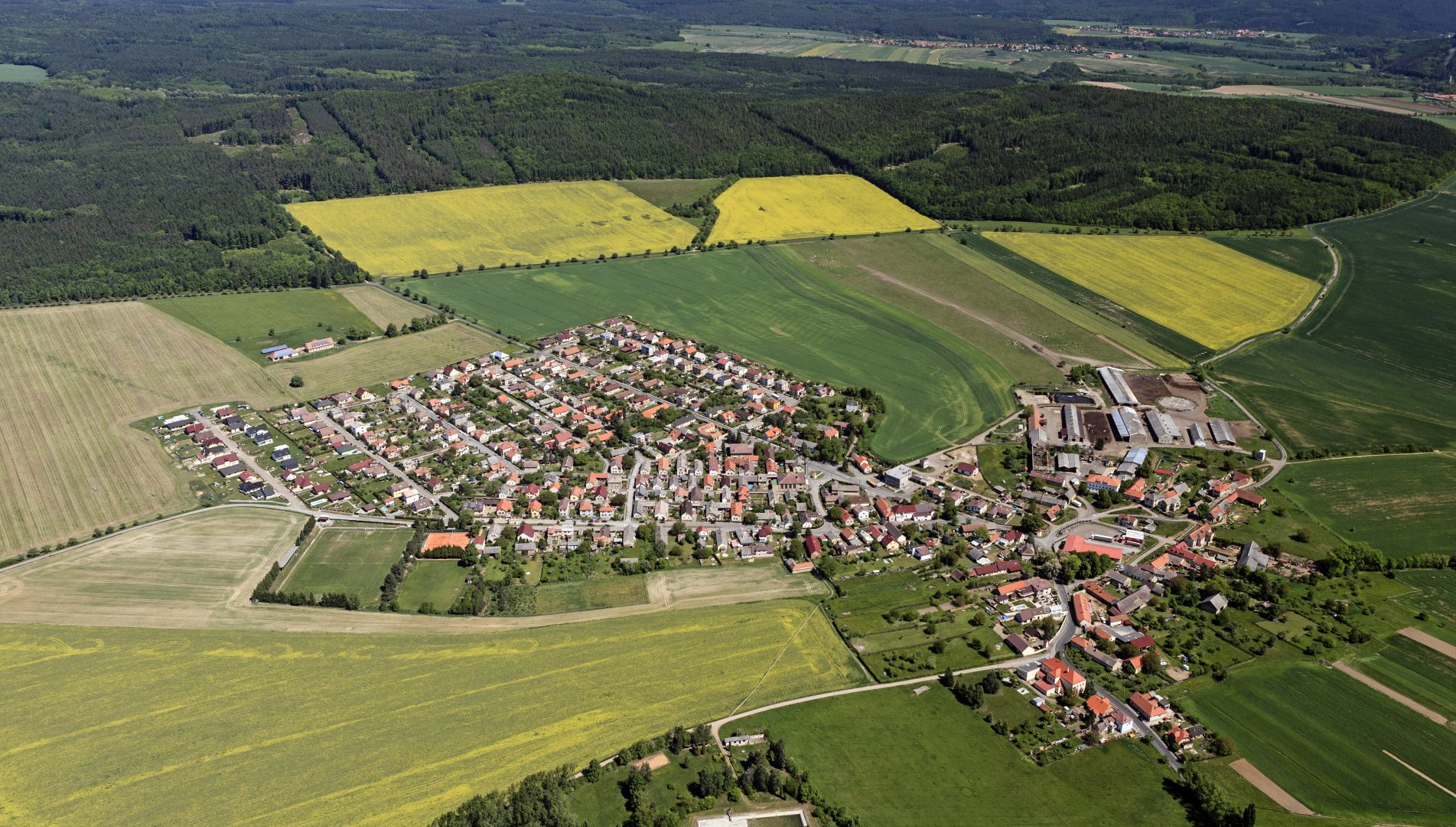 Měnič obrázků - fotografie